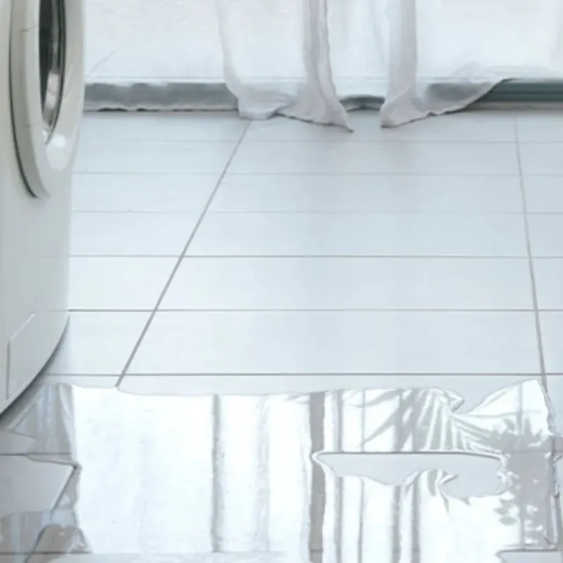Appliance Leak Cleanup in Johnson County, IN