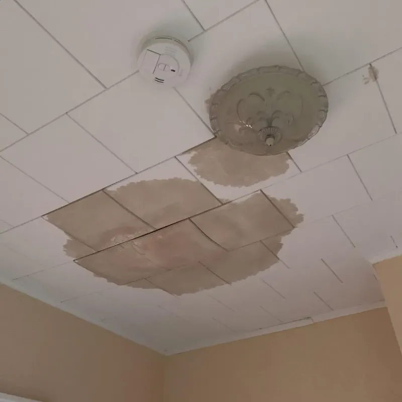 Ceiling Water Damage Repair in Johnson County, IN
