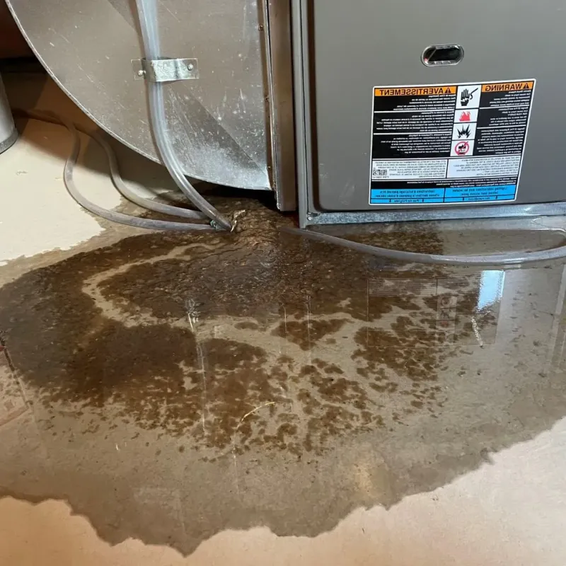 Pipe Burst and Leak Restoration in Johnson County, IN