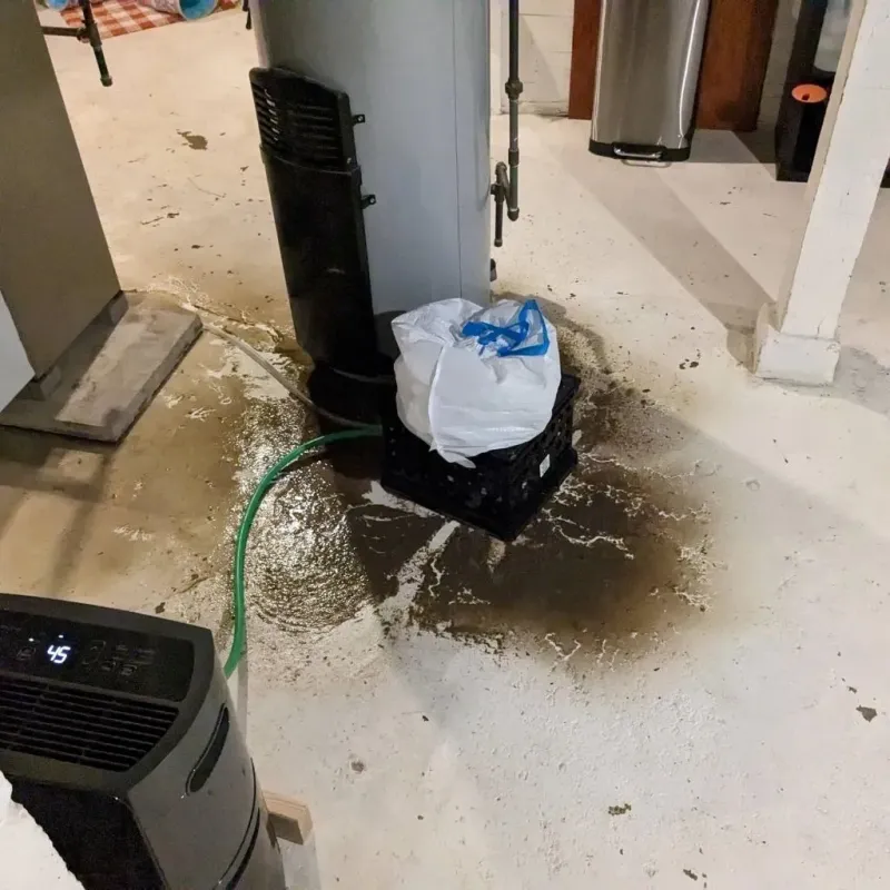 Sewage Backup Cleanup Service in Johnson County, IN